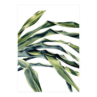 Green Palm Leaves (Print Only)