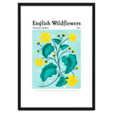 English Wildflowers | Lesser Celandine thumbnail