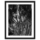 Black Tectorius Plant Art thumbnail
