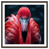 Close Up Flamingo Face With Water Droplets thumbnail