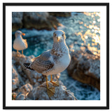Seagull Standing On Rocks Near Water thumbnail