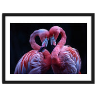 Two Pink Flamingos Forming A Heart Shape