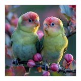 Two Lovebirds On A Branch Surrounded By Berries (Print Only) thumbnail