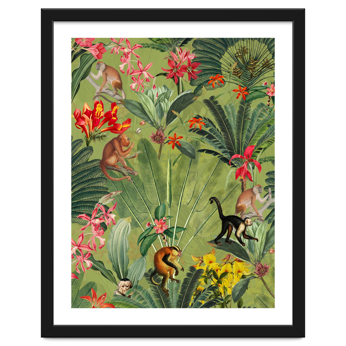 Monkeys In Tropical Jungle Paradise