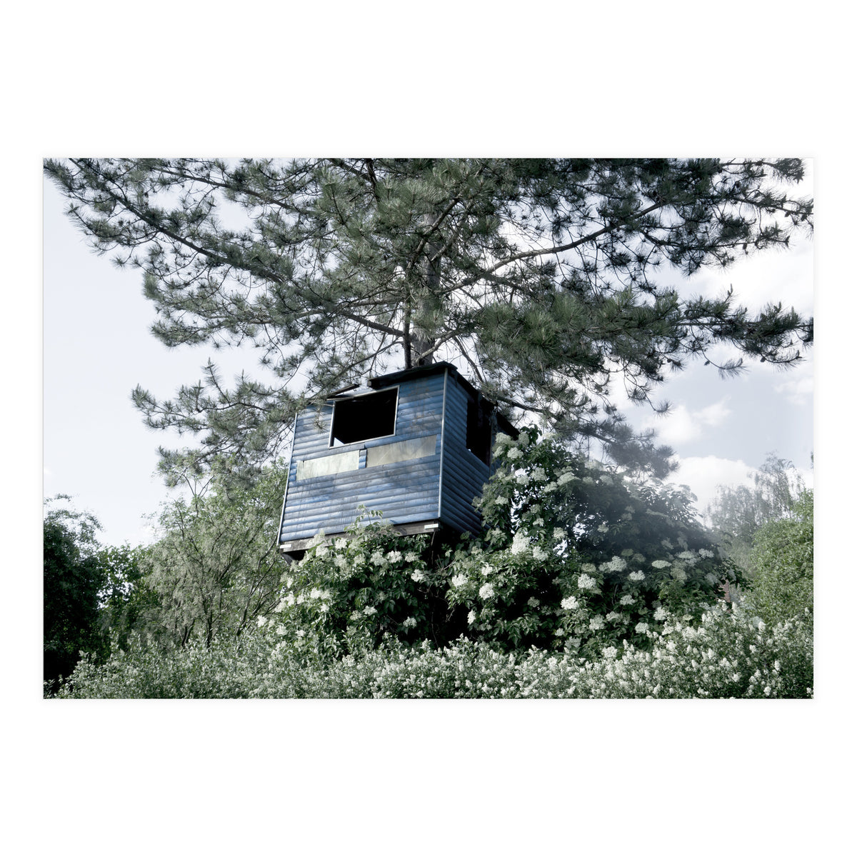 Blue hut on the tree (Print Only)
