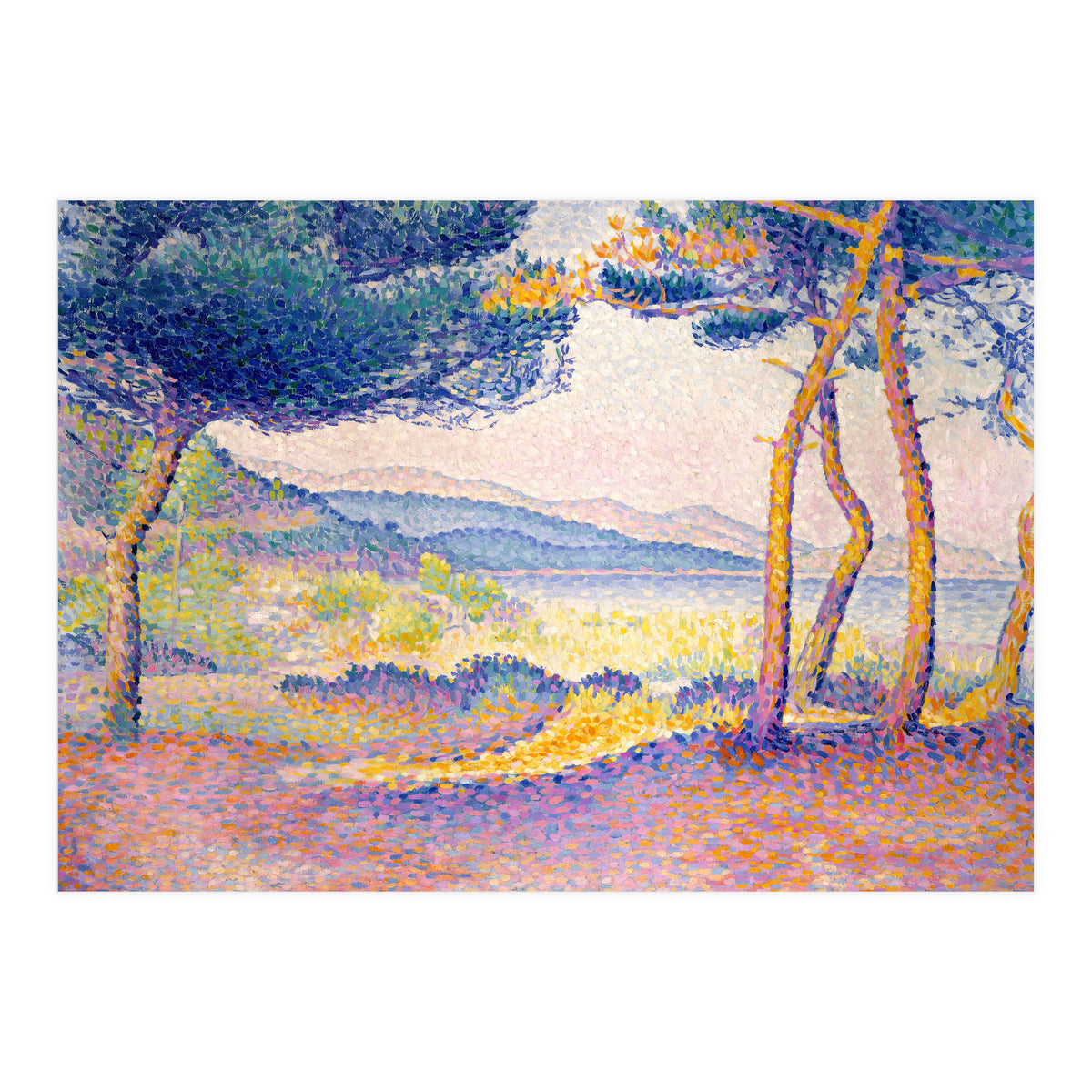 Pines Along the Shore. (Print Only)