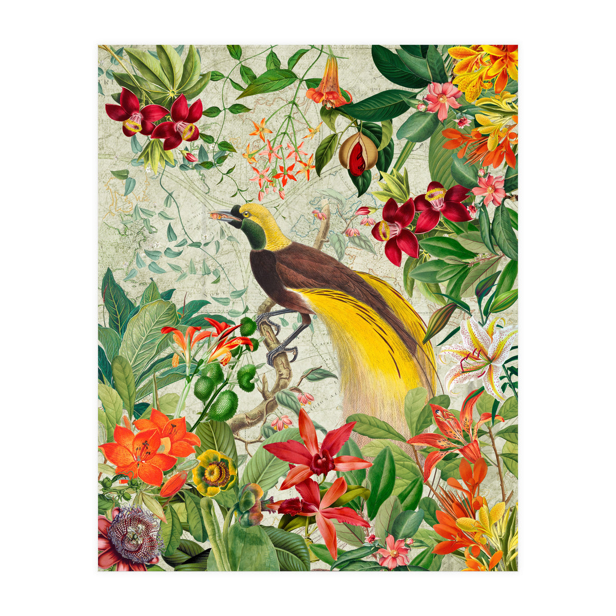 Bird of paradise vintage jungle  (Print Only)