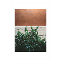 Plant + Copper (Print Only)
