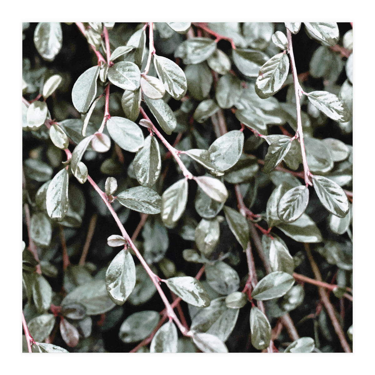 Rain #society6 #decor #buyart (Print Only)