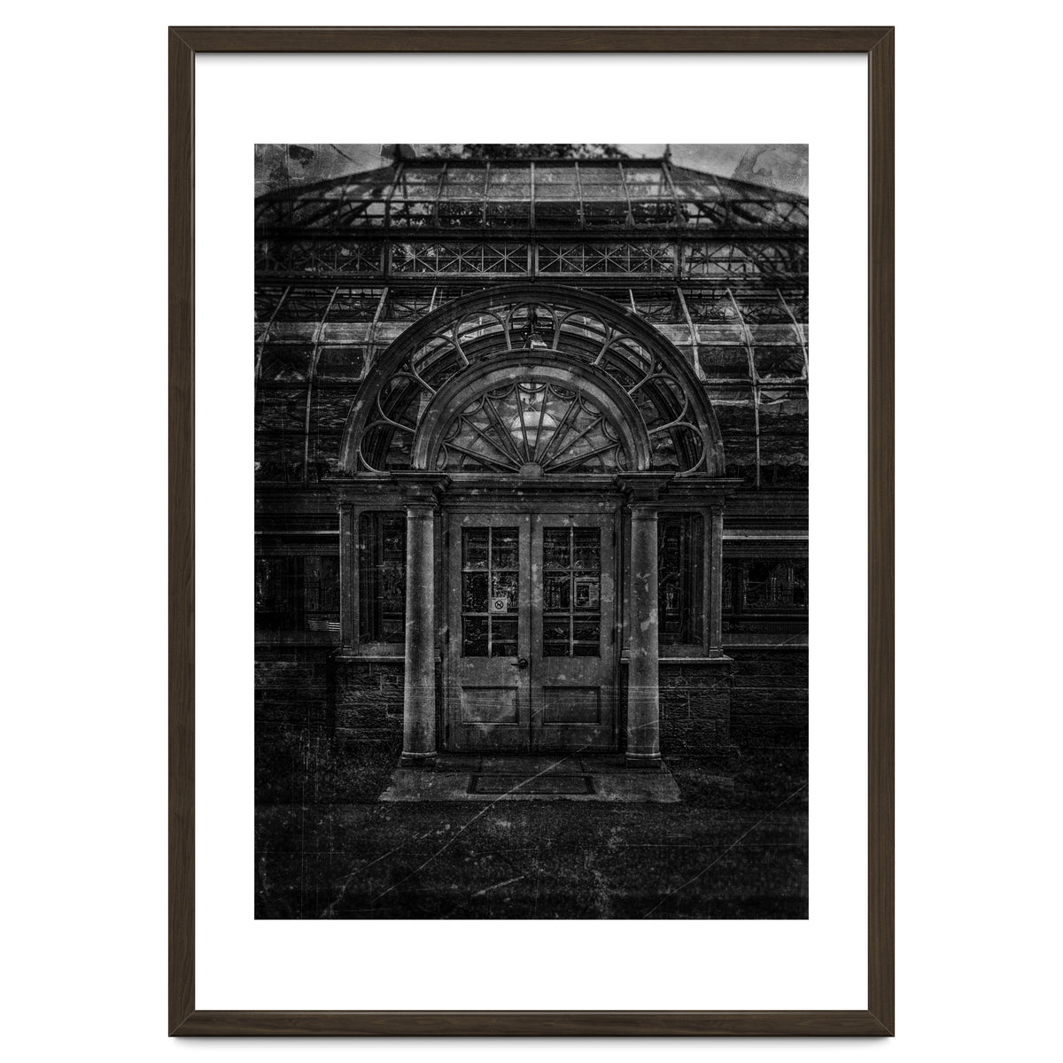 Allan Gardens Conservatory Palm House No 5 Old Film Version