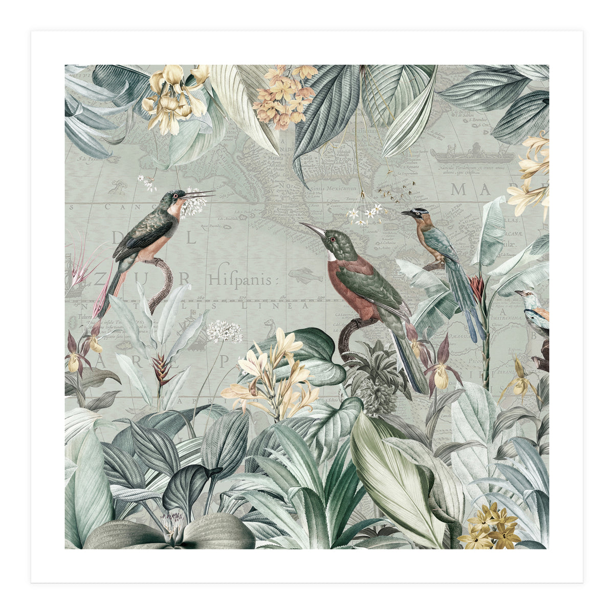 Vintage Exotic Birds Paradise Jungle (Print Only)