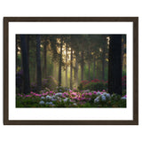 Rhododendron forest thumbnail