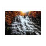 Into the woods (Print Only) thumbnail