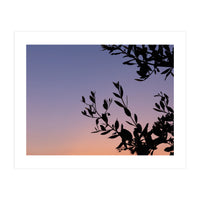 Silhouette of a tree against a colorful sky (Print Only)