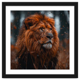 Majestic Lion King Of The Jungle Close Up Portrait thumbnail