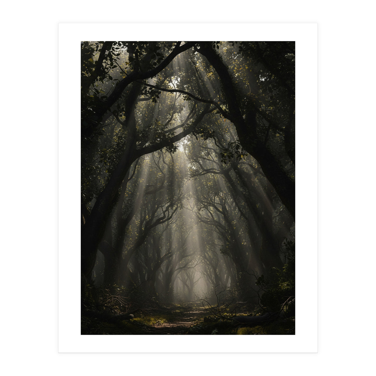 Enchanted Canopy: Mystical Forest Path (Print Only)
