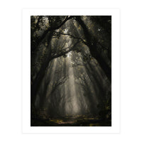 Enchanted Canopy: Mystical Forest Path (Print Only)