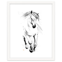 Runninh Ghorse In Water