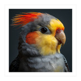 Cockatiel Parrot Closeup Vibrant Feather  (Print Only) thumbnail