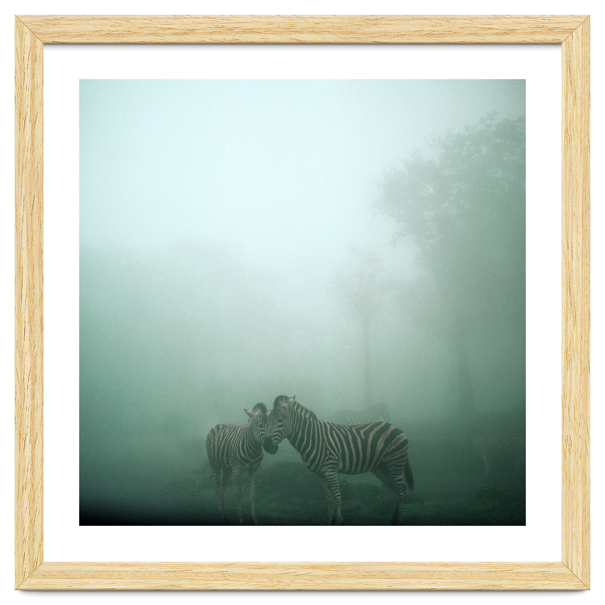 Silence of breath - 11