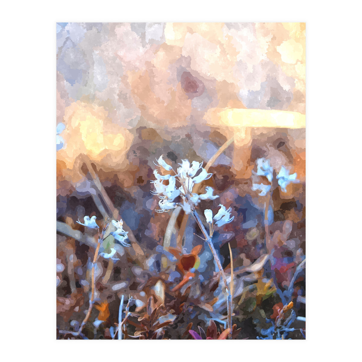 After The Rain (Print Only)