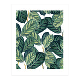Botany #society6 #decor #buyart (Print Only) thumbnail
