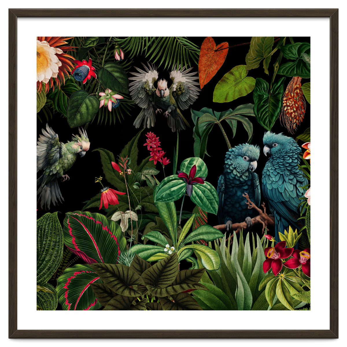 Moody Botanical Midnight Jungle Birds