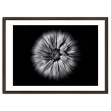 Backyard Flowers In Black And White No 10 Flow Version thumbnail