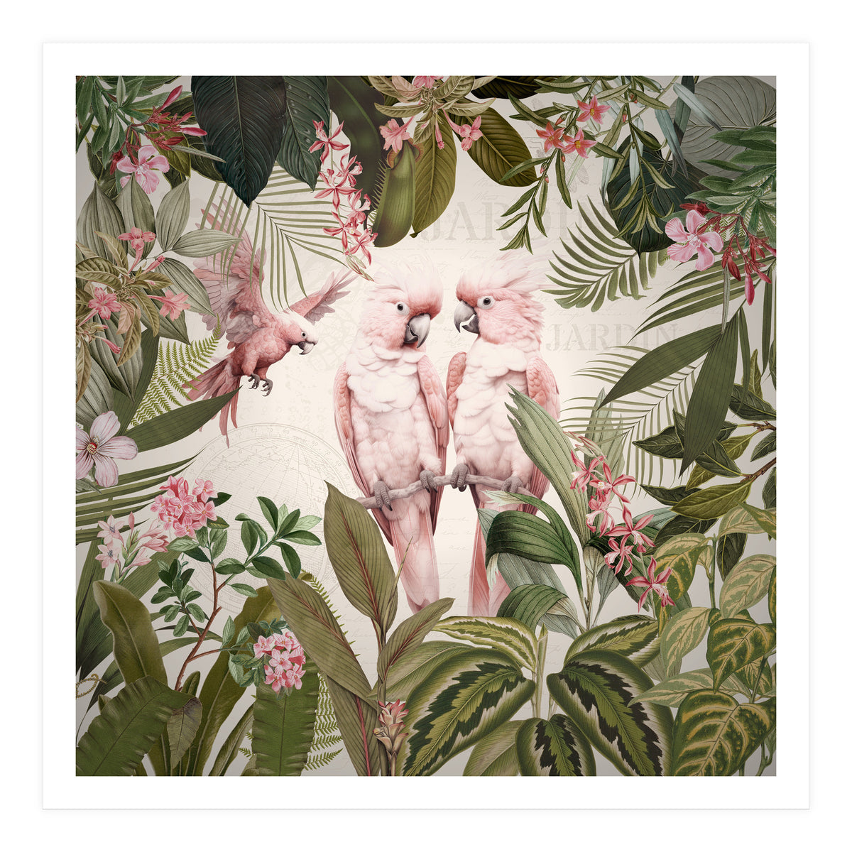 Pink Parrots Exotic Rainforest (Print Only)