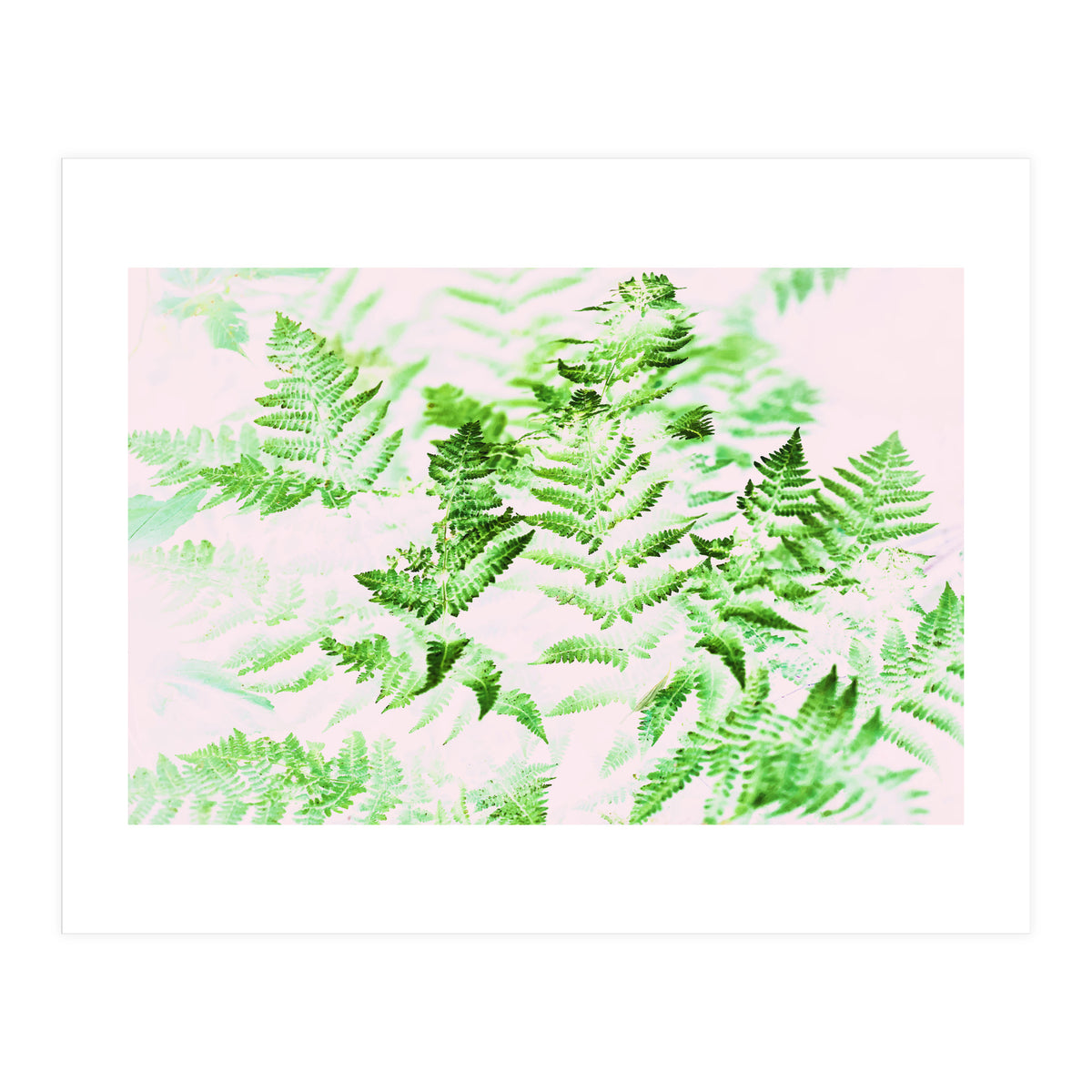 Fern Forest #society6 #decor #buyart (Print Only)