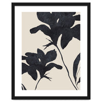 Shadowed Blooms