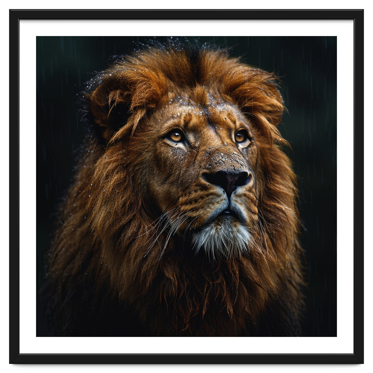 Majestic Lion Portrait In Gentle Rain