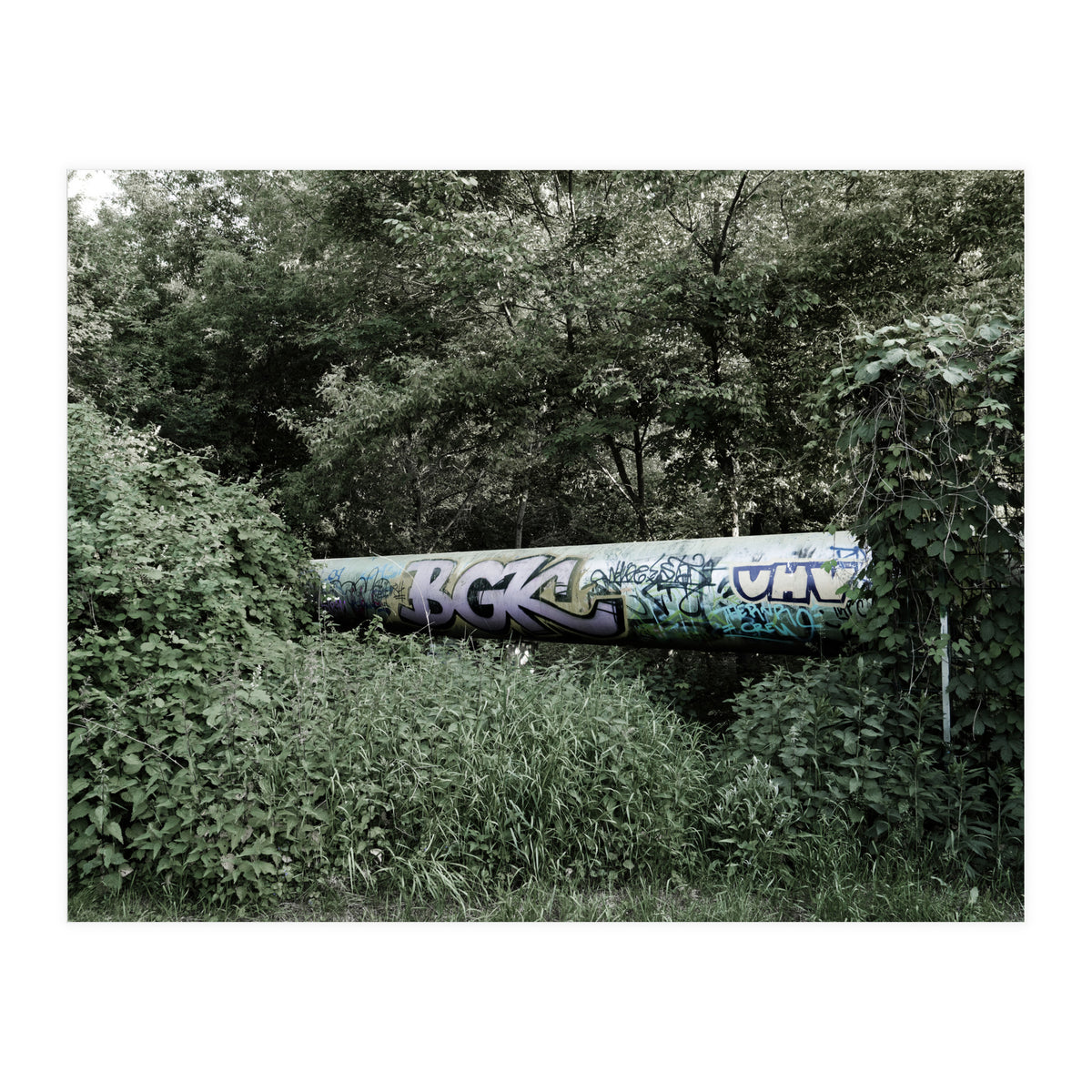 Graffiti pipe among the summer forest (Print Only)