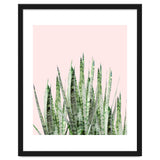 Botanical Balance thumbnail