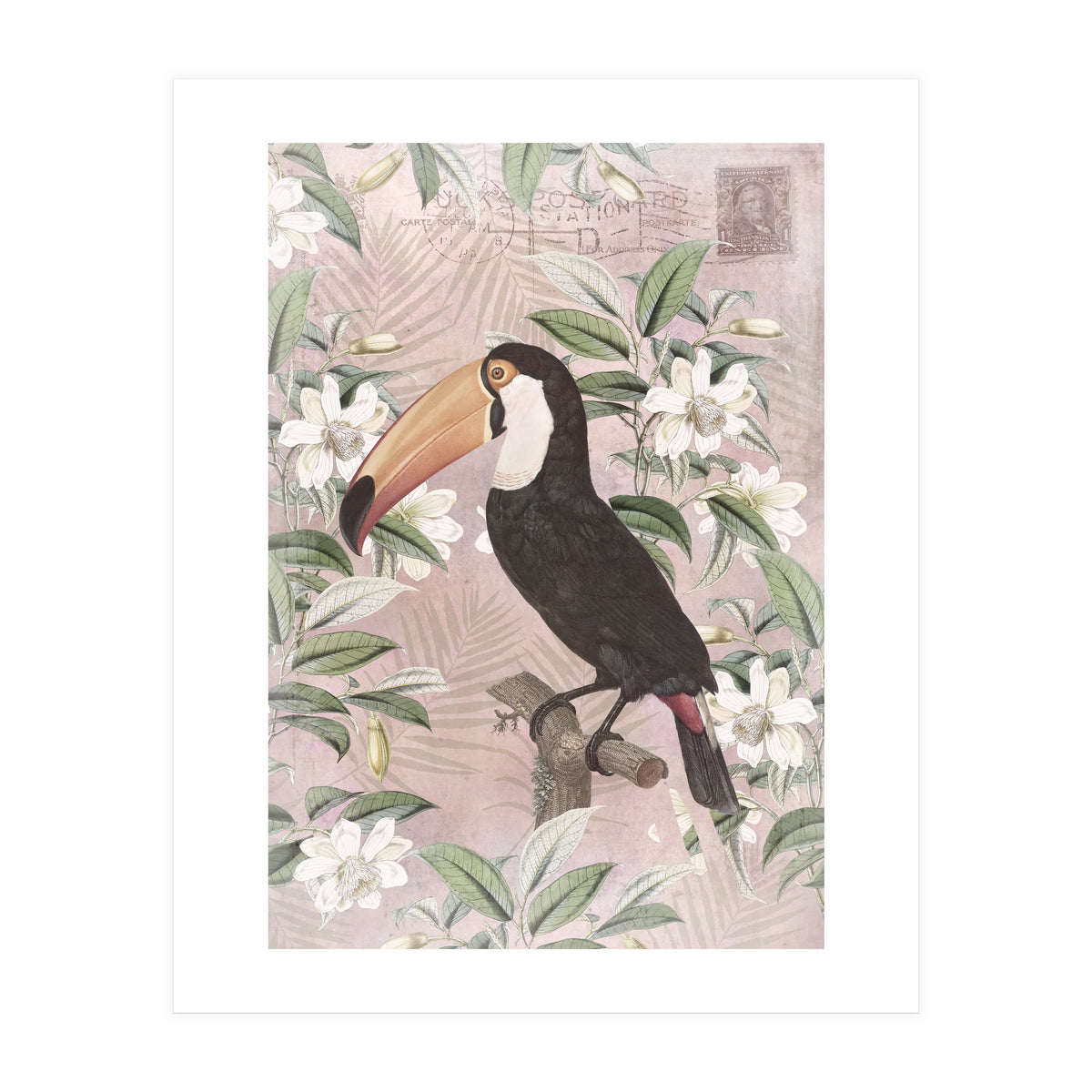 Exotic Bird Toucan (Print Only)