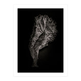 Leaves No 9 (Print Only) thumbnail