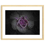 Backyard Flowers No 108 Color Version thumbnail