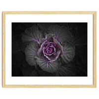 Backyard Flowers No 108 Color Version