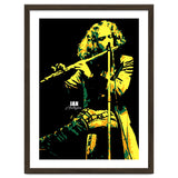Ian Anderson Musician Legend thumbnail