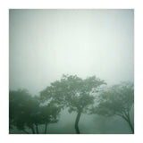 Silence of breath - 17 (Print Only) thumbnail