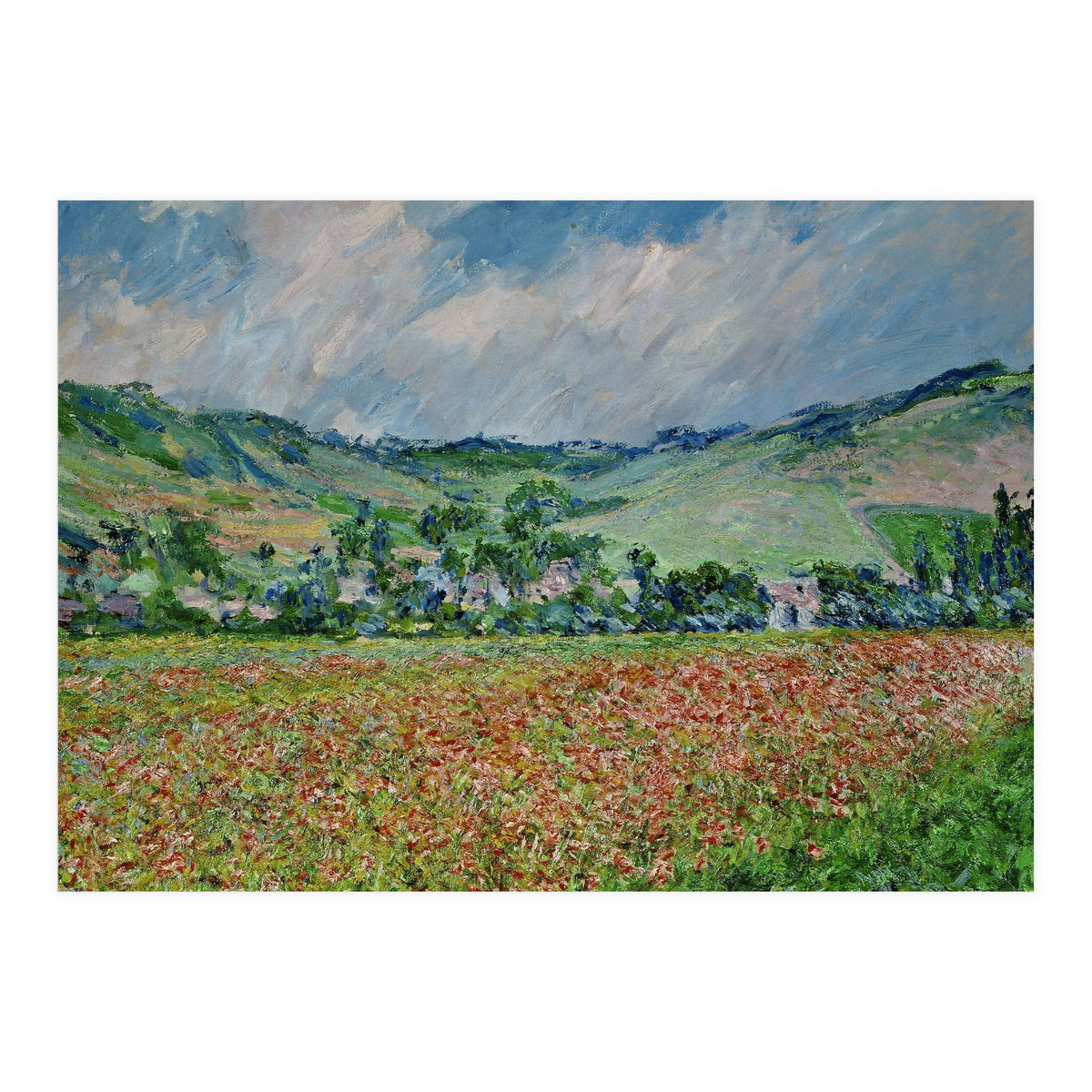 A field of poppies. Canvas. (Print Only)