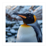 King Penguin In The Snow With Frosty Head (Print Only) thumbnail