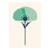 Teal Half Poppy (Print Only) thumbnail
