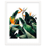 Paradise Bird, Nature Botanical Plant Floral, Tropical Garden Watercolor Painting thumbnail
