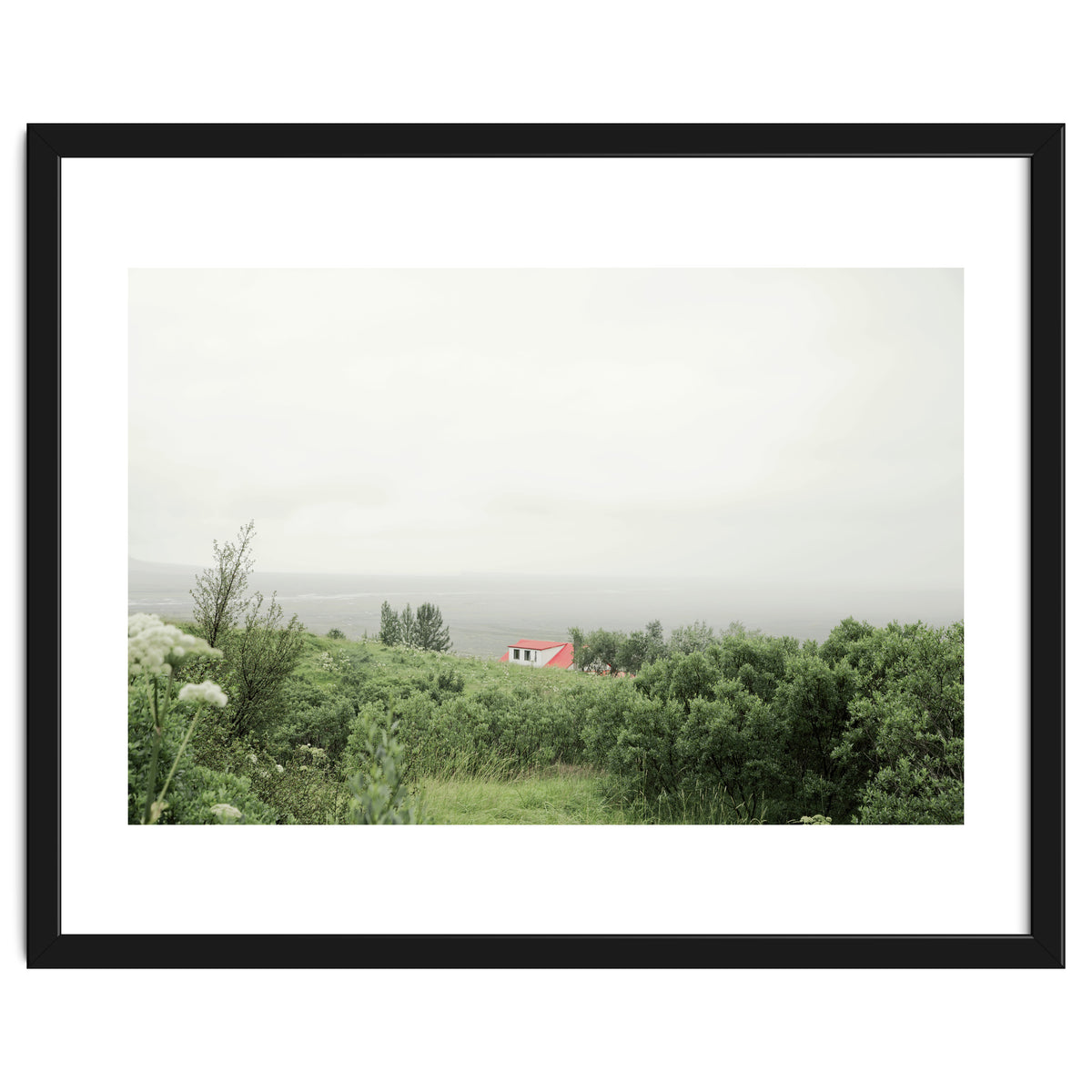 Red Roof house in between the summer green field - Iceland