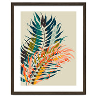 Colorful Palm Leaves