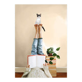 Paws And Prose (Print Only) thumbnail