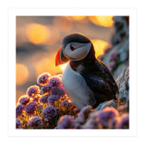 Puffin Bird Amidst Purple Flowers Golden Hour (Print Only) thumbnail