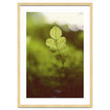 Out of the green thumbnail