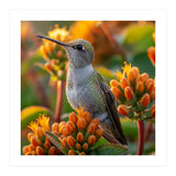 Hummingbird Perched On Orange Flowers (Print Only) thumbnail